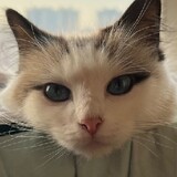 wangluonanshenmingye