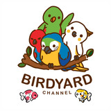 Birdyard Channel