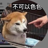 handouwu2haoji