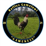 Rafflex Gamefowl