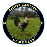 Rafflex Gamefowl