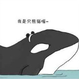 shanhehuahuo