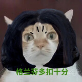 xifuleisiのkedaibiao