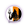 Diplapposter2