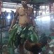 creator avatar