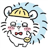 xiaolvkunkunkun