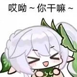 qingfengbukejie