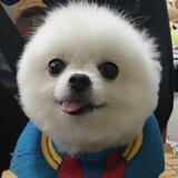 paopaoxiaowangwang