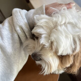 liushiwuyuanmaidehao