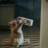 jiaowoxiaochijiuhao