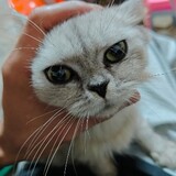 harutako_02_05
