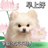 bi______mupianquan