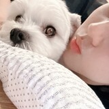 changchango-o