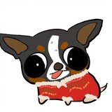 xiaojiliuliu