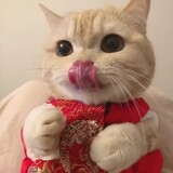 yingxiongli_____g6mo