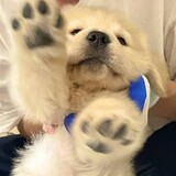 yaobushiwoyiding