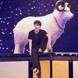 -andiandy-