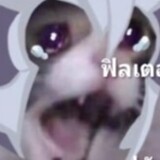 แมวเป้าเศร้า