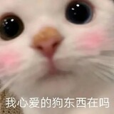 aihejiudemiaomiaohu