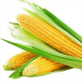 i-am-a-corn