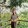 Anmarie Rubia Priol