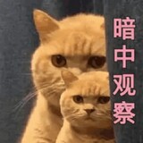 _nianleliangjushi