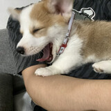 ___qiuhebeibei