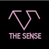 the_sense1