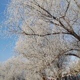 xiaogaitingkeai