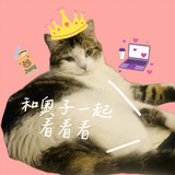 heaoziyiqikankankan