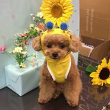 sunflower00606