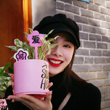 xuanxueli