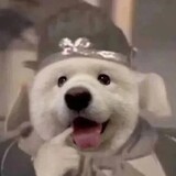 pilipaladonggapa