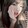 transnap_02
