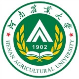 henannong___axue