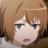 不運なハリネズミ