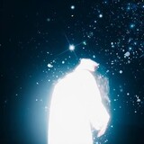 z____erfly-