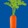 carrot-p1