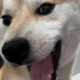 fengjiefangdefang