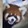 _hayake