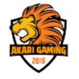 Akari Gaminggg