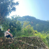 liuadongl