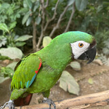 xingsuyi