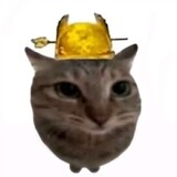 pupuputaopai