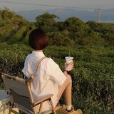 yidaimikangqilou