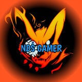 NDS GAMERS