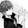 Raven Taiche