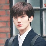 biwenjunfangyingshi