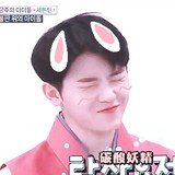 lizhixundelaomahua