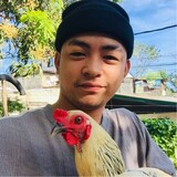 Sabungero Ng Esojnas